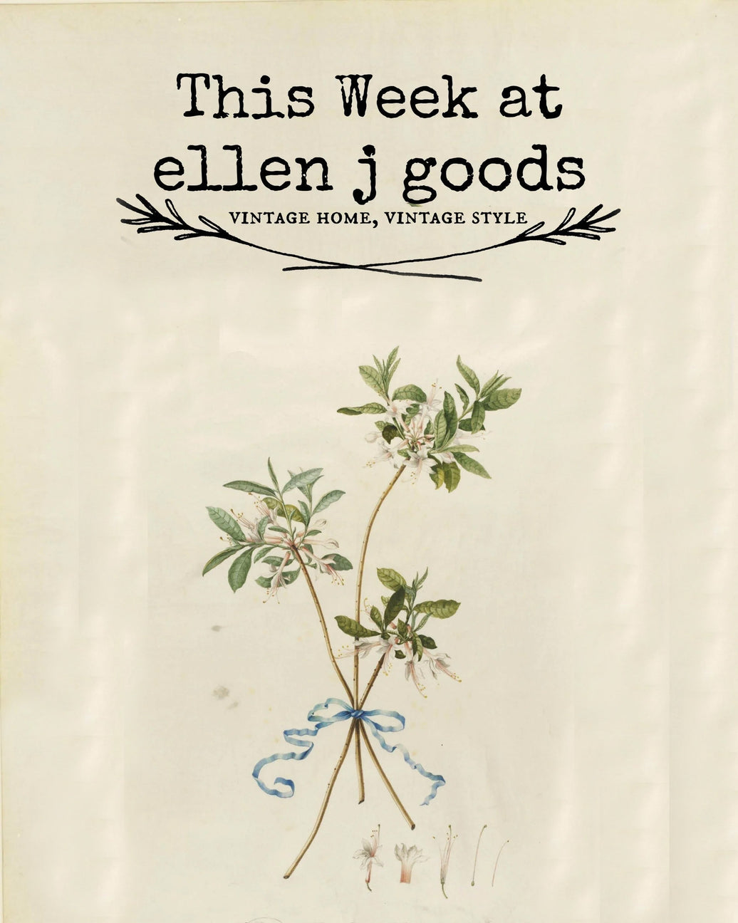From ellen j goods, with love 5/24