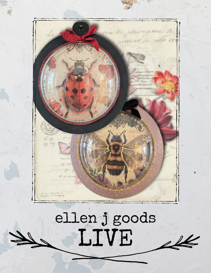 Iveta’s Bug Ornaments 3/28/26