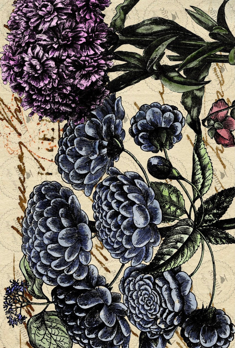 JRV Decoupage Paper - Black and White Floral – Goodson Vintage