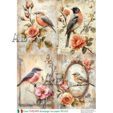Vintage Songbird and Rose Illustration Panel Decoupage Paper - A4