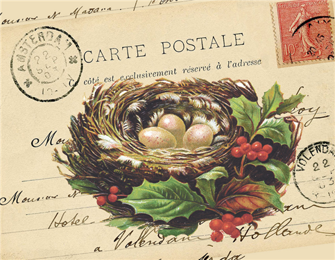 Christmas Nest (047) C76