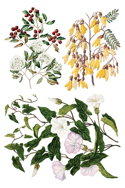 Sarah Featon’s Botanicals IOD Transfer 8x12 Pad