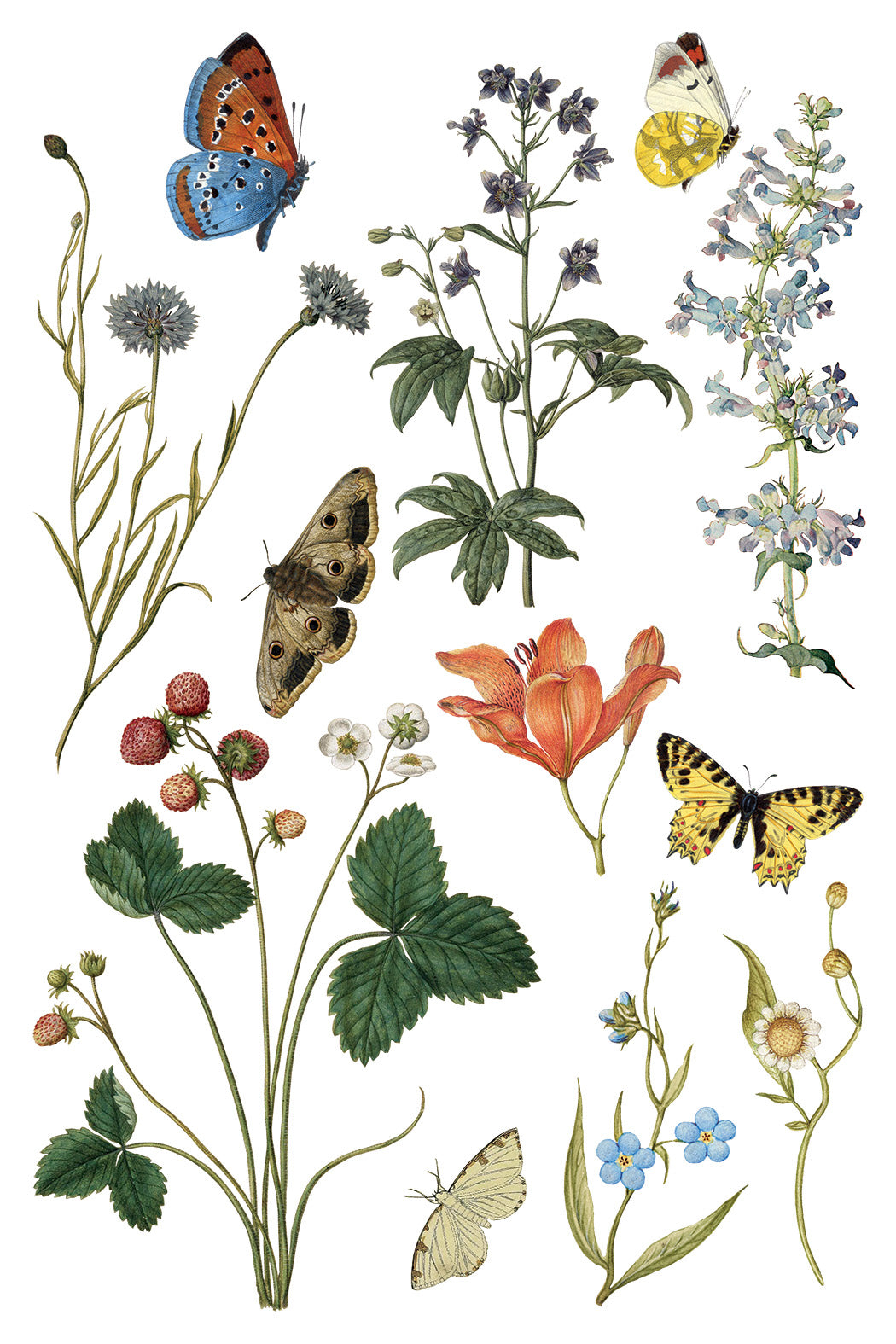 Wilde Bloemen IOD Transfer 8x12