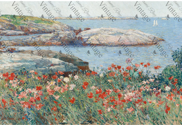 Poppies on The Beach | JRV large Rice Paper