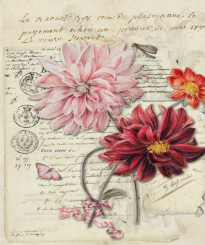 Dahlias