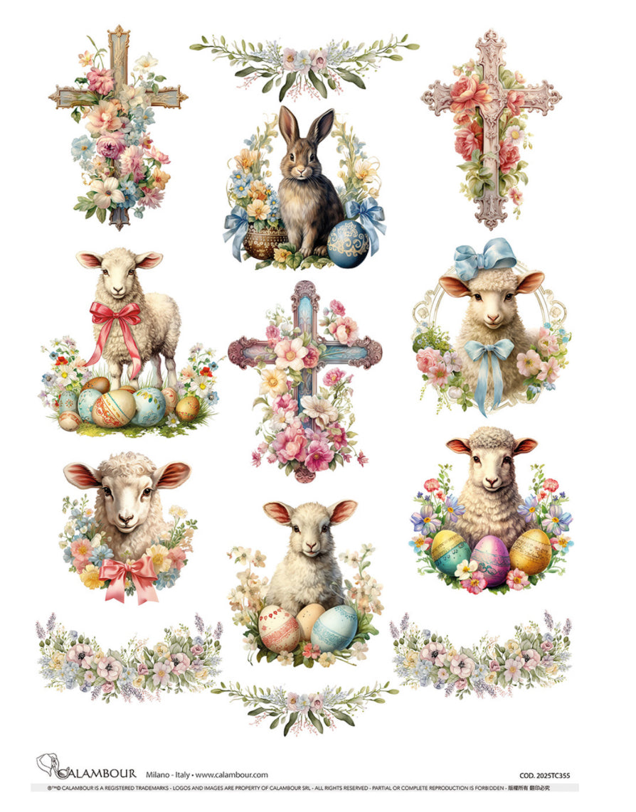 Spring Lambs and Crosses 2025TC355