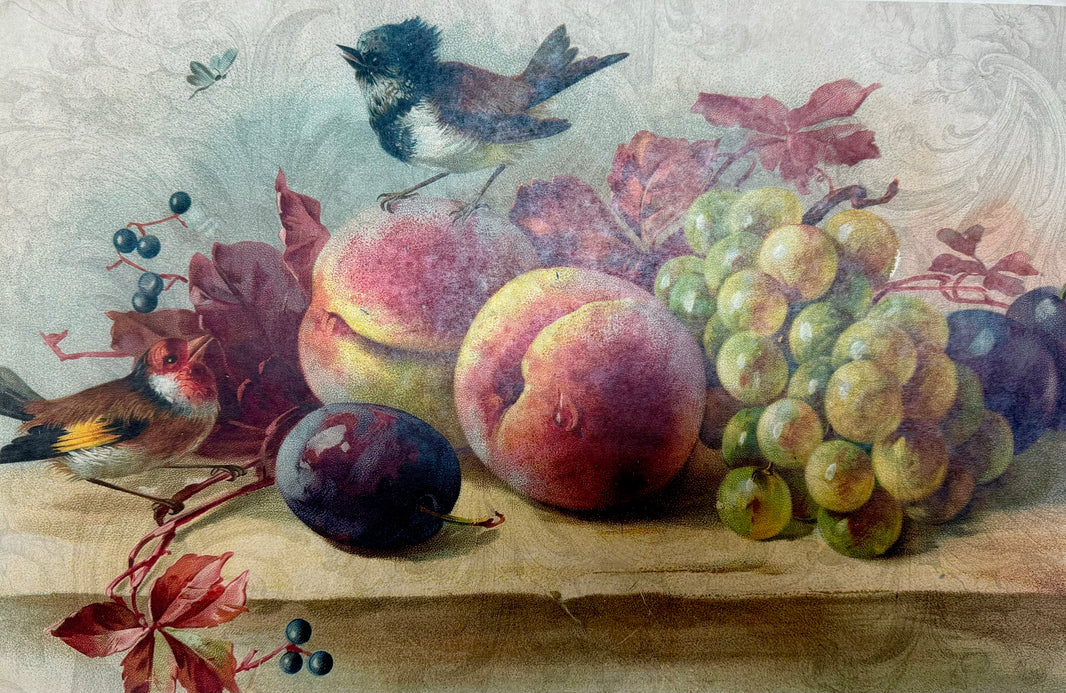 Fruit and Bird Still Life (015) X536
