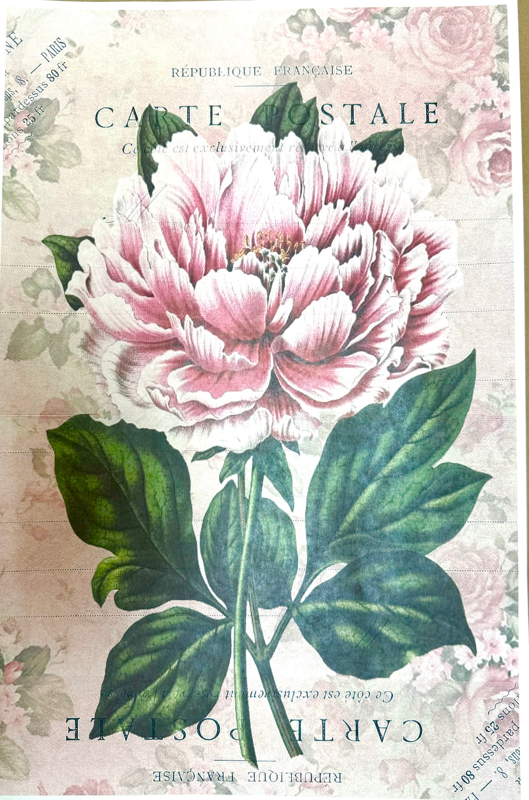Postale Peony (039) X309