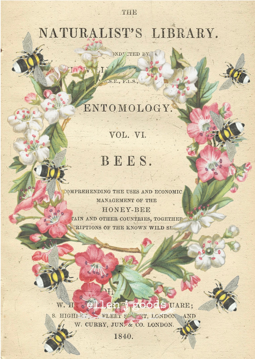 Naturalist Bee EJG-003