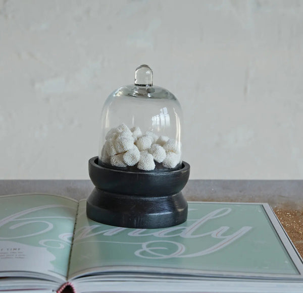 Mini Glass Cloche on Wooden Base