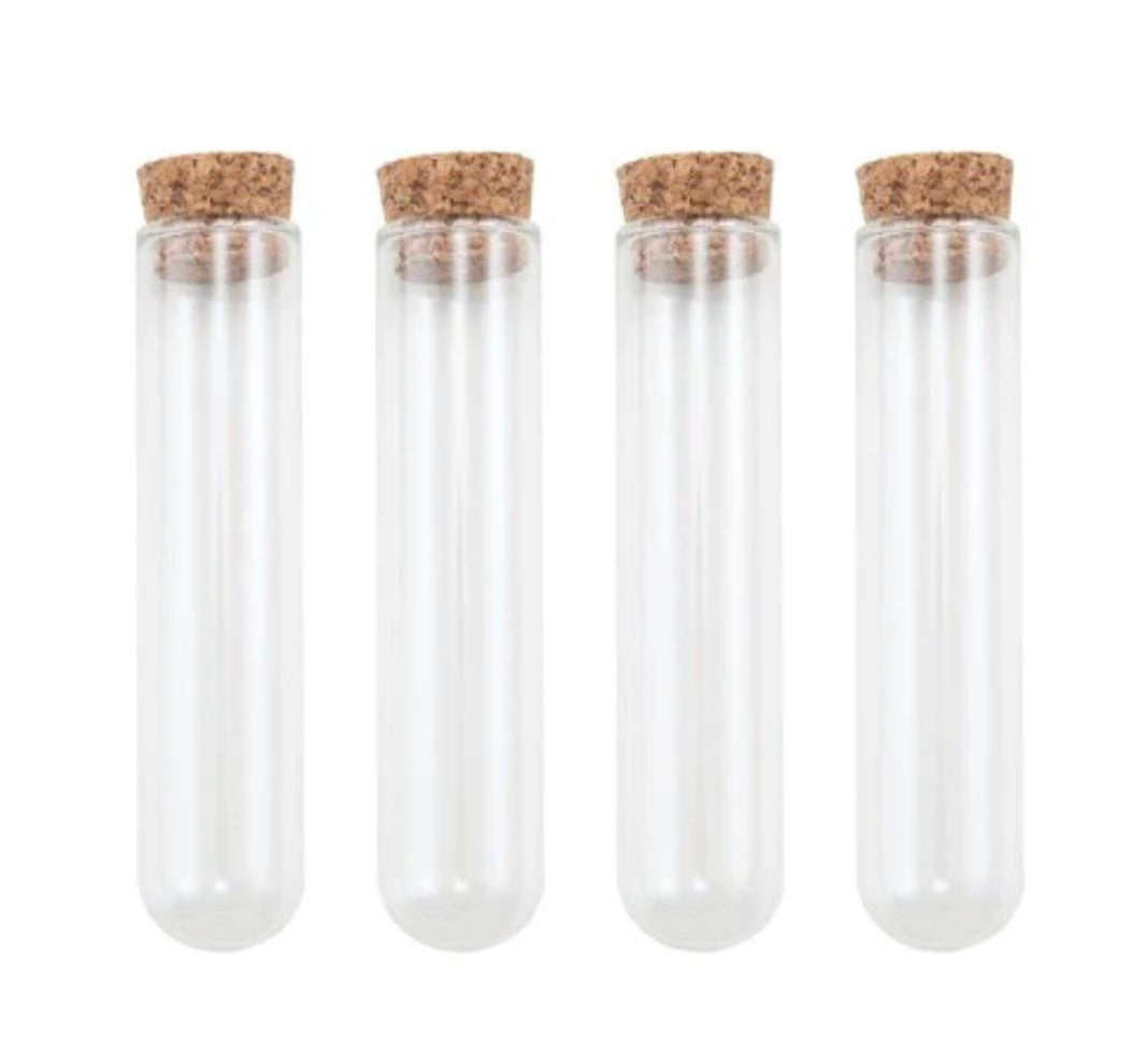 Tim Holtz Glass Test Tubes Halloween