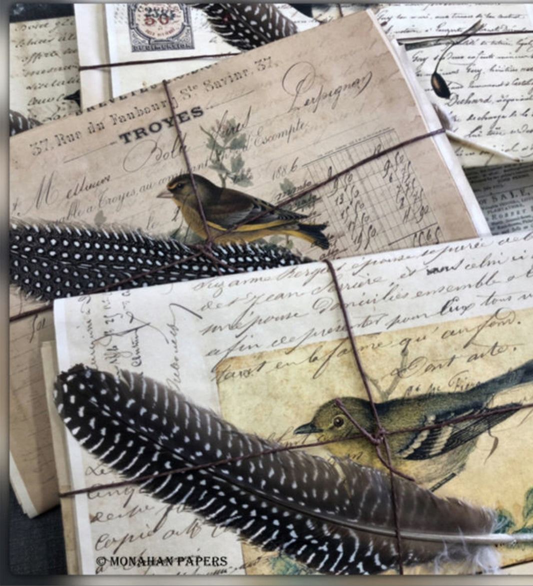 Aged Stationery Pack with Birds