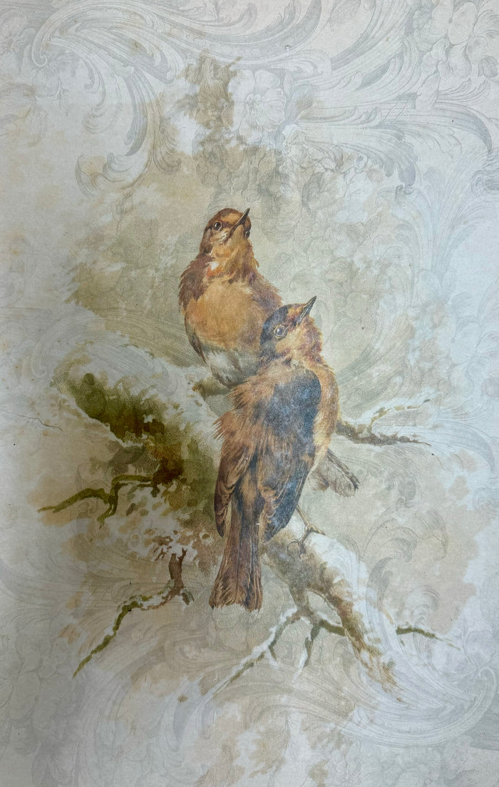 Pair of Golden Birds (015) X537
