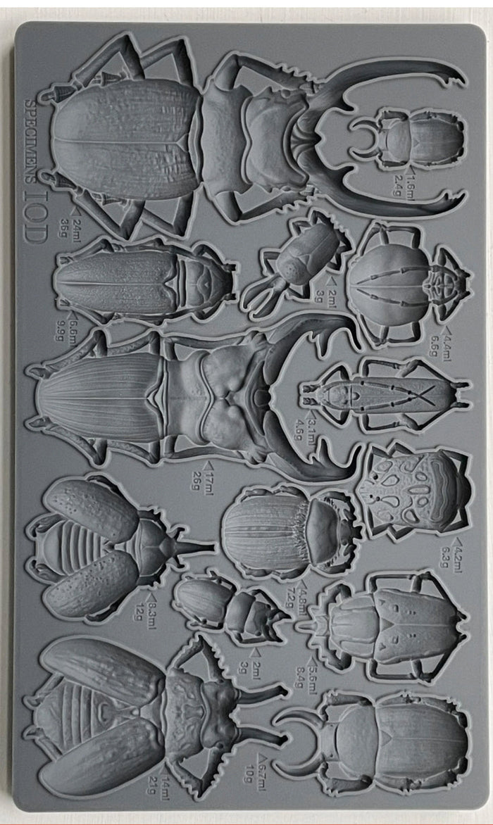 Specimens IOD Décor Mould
