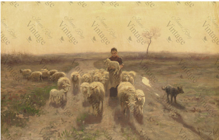 Sheep at Sunset | JRV large Rice Paper