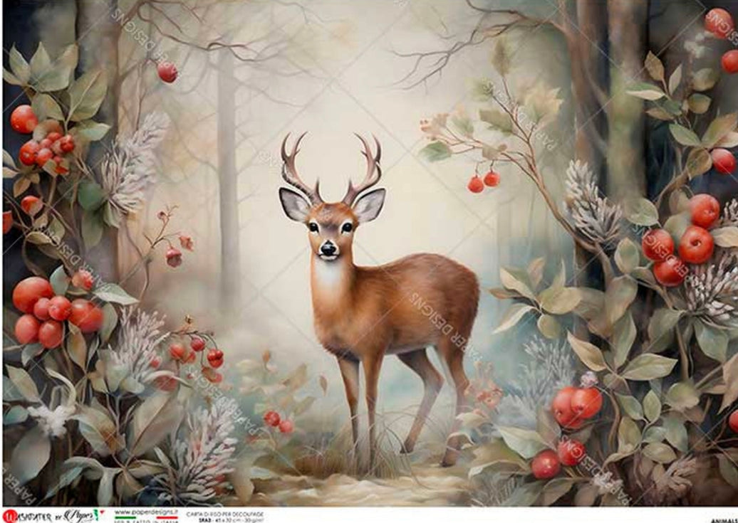 Festive Buck 0214