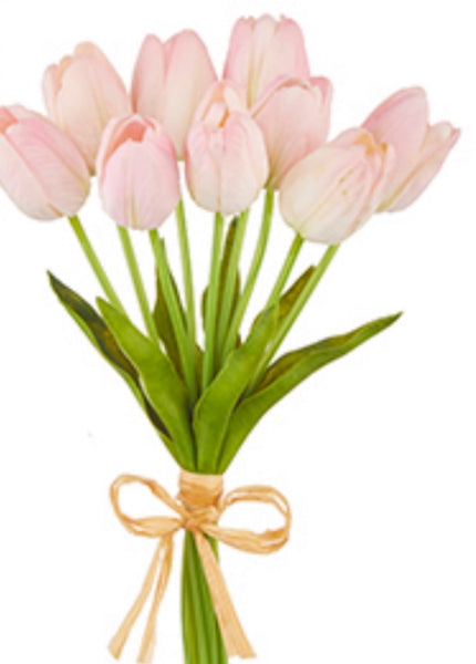 15 inch real touch, tulips bundle