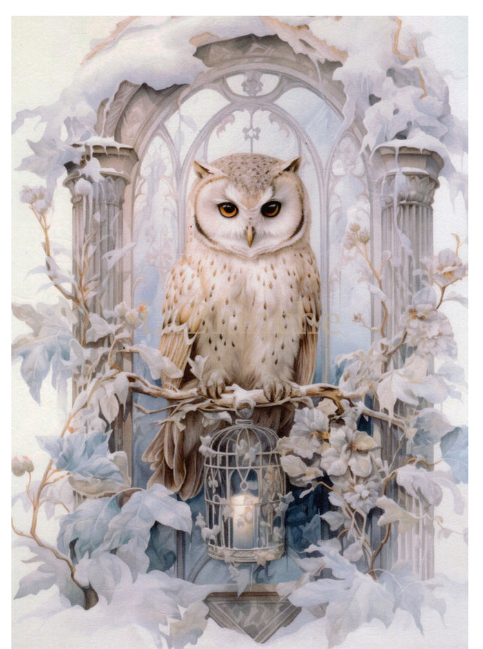 Frosty Winter Owl 2