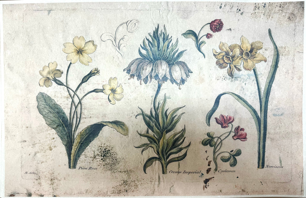 Spring Botanical (004) Sps1520