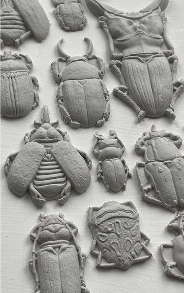 Specimens  IOD Décor Mould