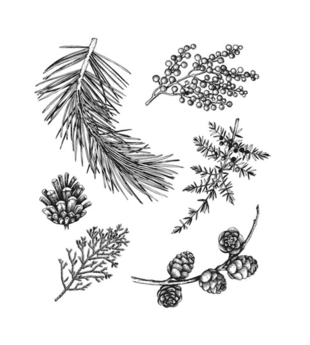 Tim Holtz Stamp Forest Floor