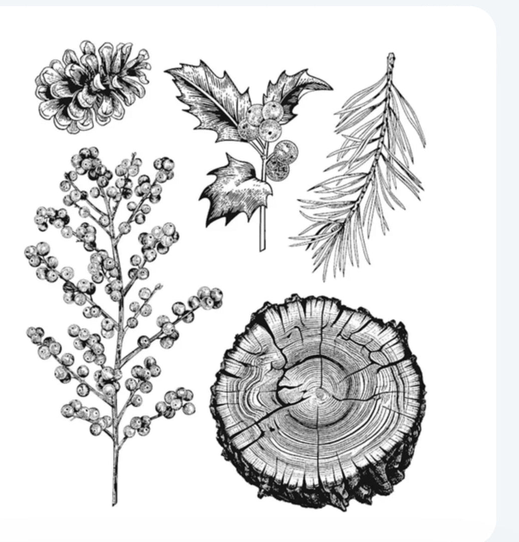 Tim Holtz Stamp Forest Floor 2