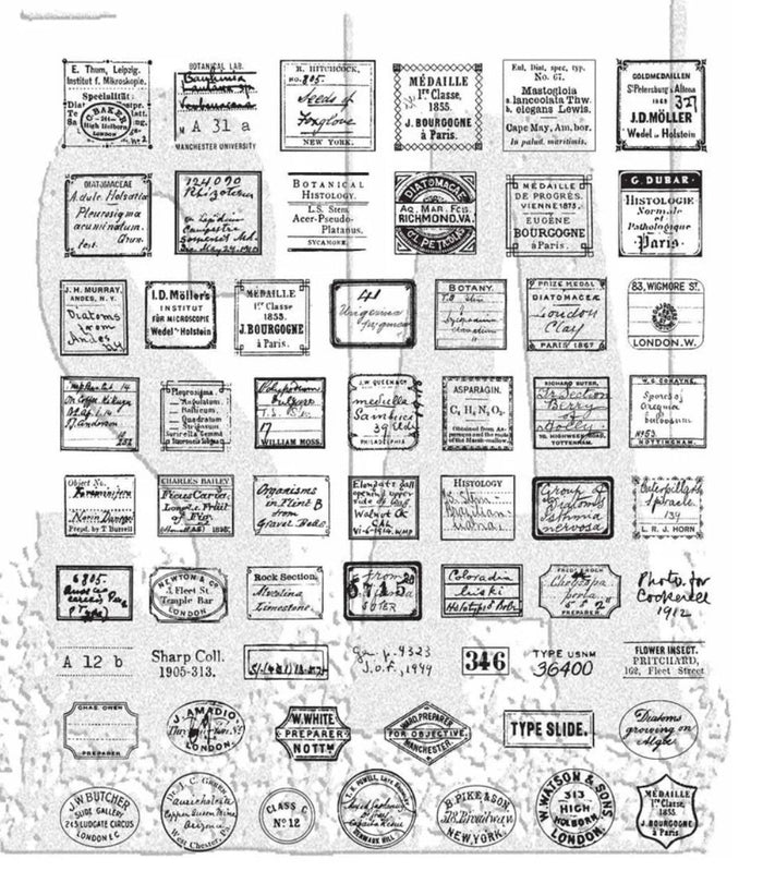 Tim Holtz Stamp Curator