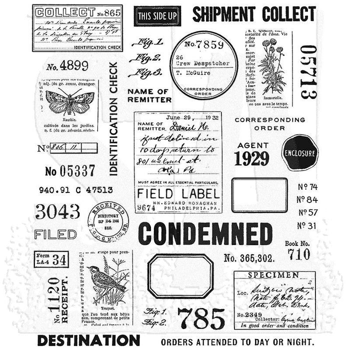Tim Holtz Stamp Field Notes