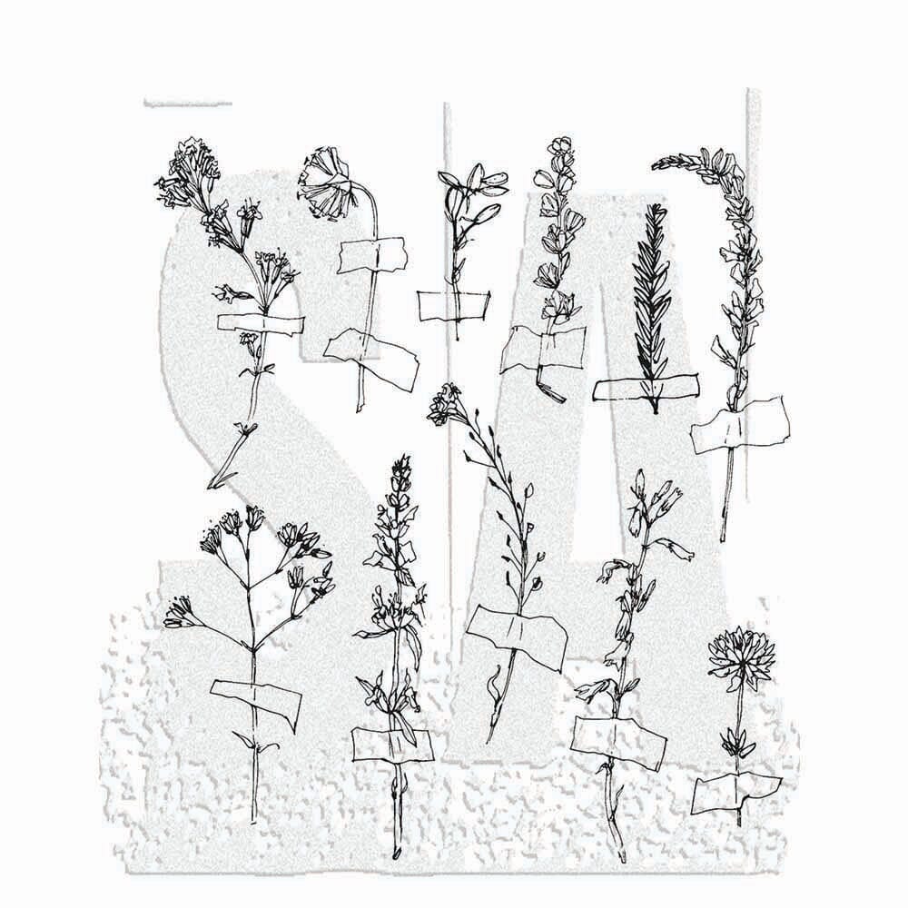 Tim Holtz Stamp Forgotten Garden