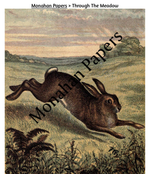 Through the Meadow (044) E5