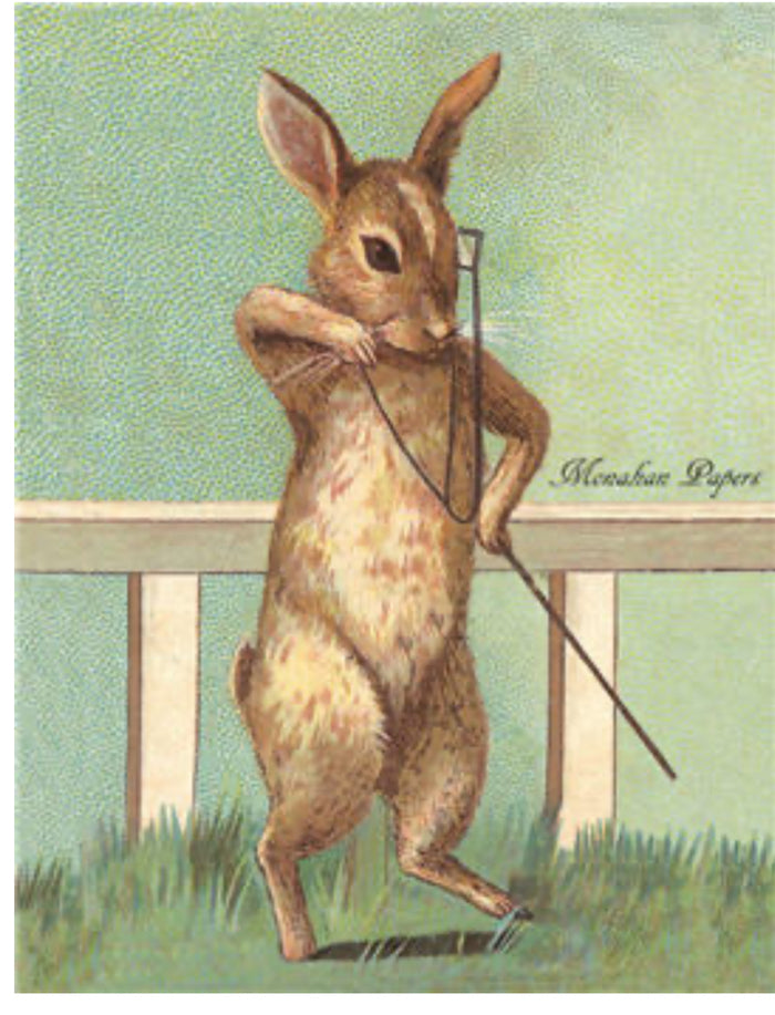 Mr. Thadly Hare (044) E75