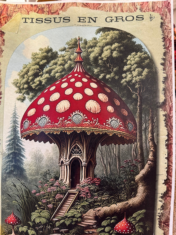 Toadstool Haven (023) X954