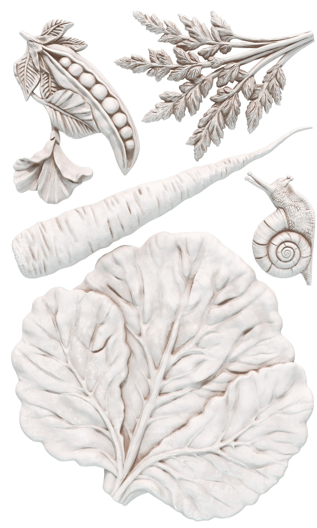 Decorative elements including leaves, a snail, and a branch on a white background