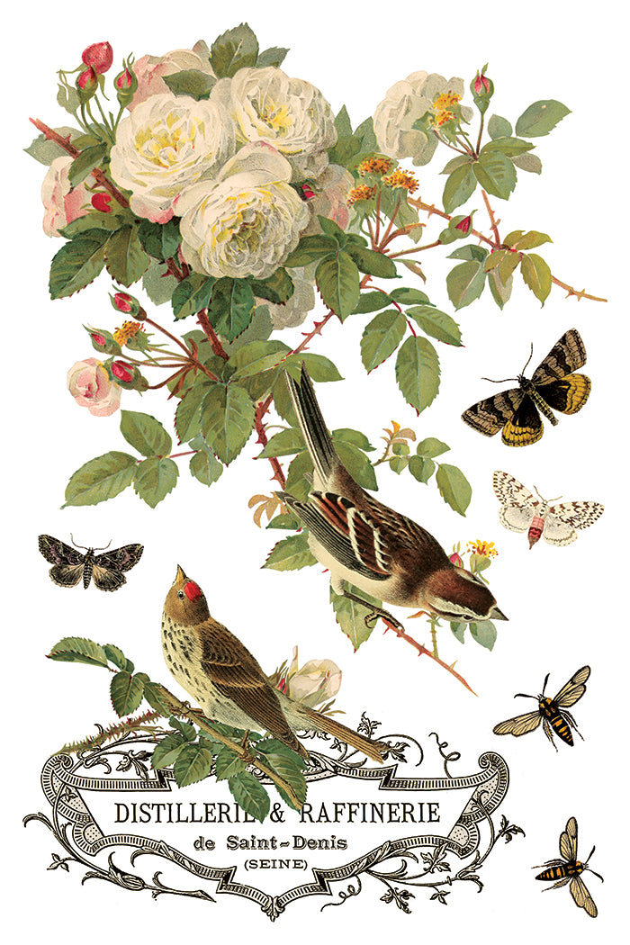 By Any Other Name IOD Transfer 8x12 Pad™