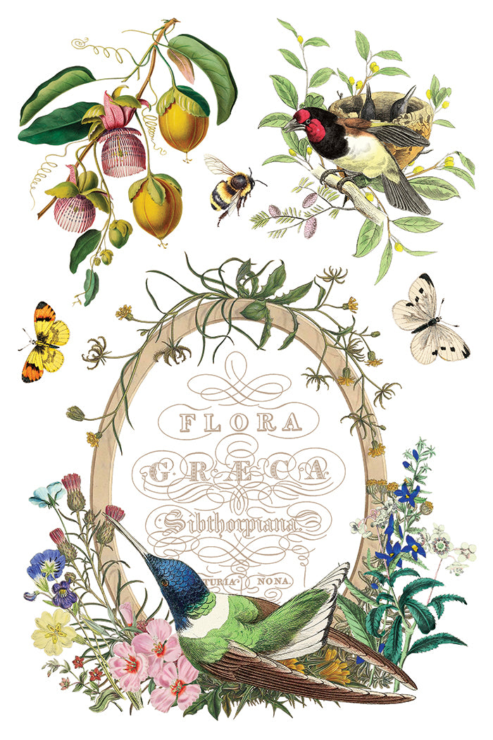 Flora Greca IOD Transfer 8x12 Pad™
