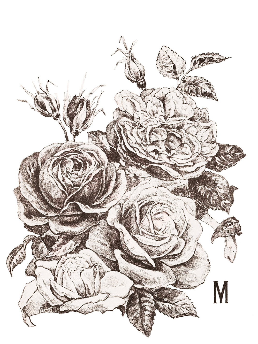 May’s Roses IOD Transfer 12×16