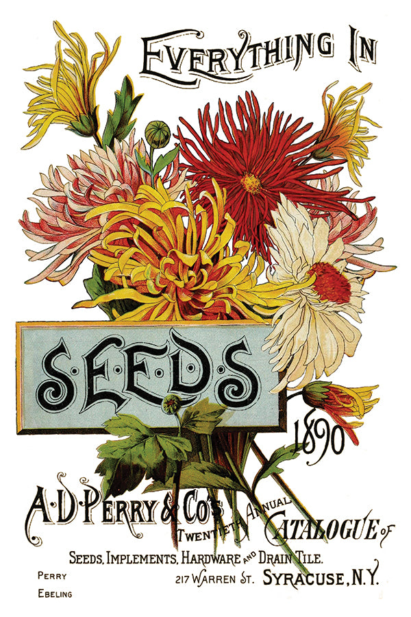 Seed Catalog IOD Transfer 8×12