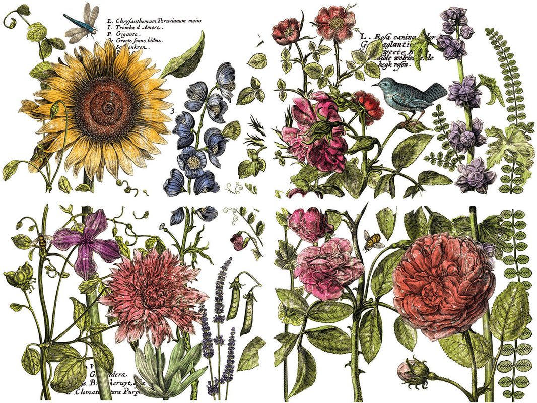Botanists Journal IOD Transfer 12×16