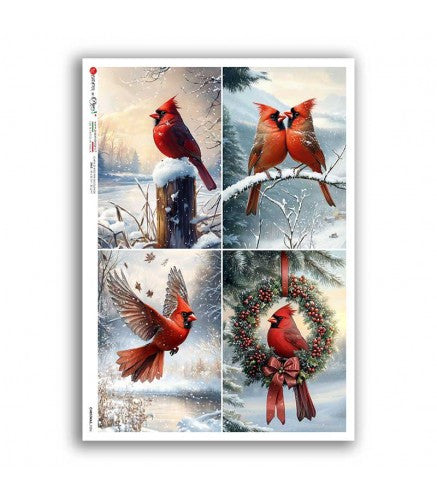 Cardinal Four Pack