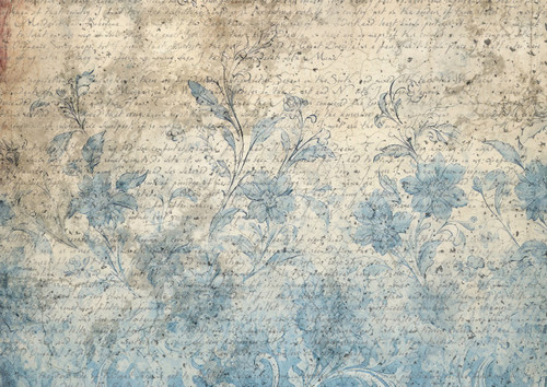 Vintage Blue Together, Iveta Ziendina 2026