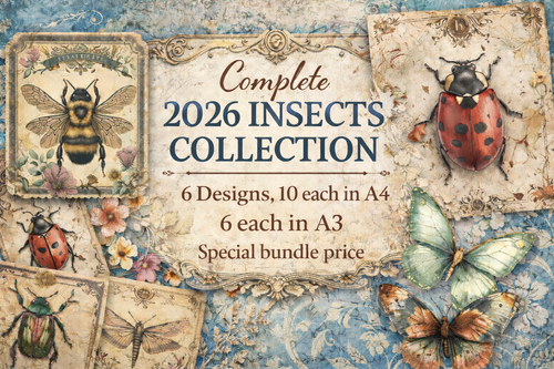 Iveta Ziedina 2026 Complete Collection