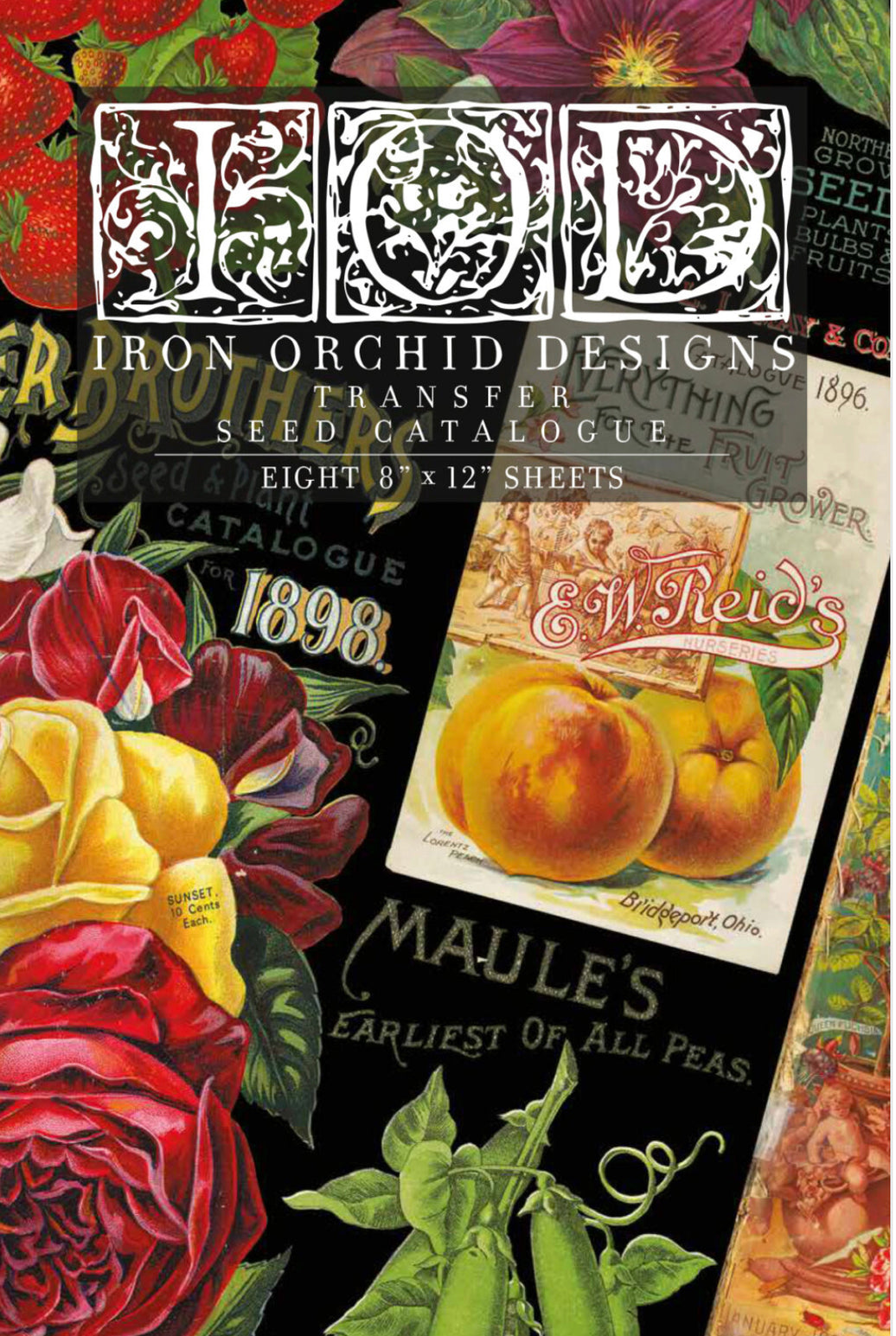 Seed Catalog  IOD Transfer