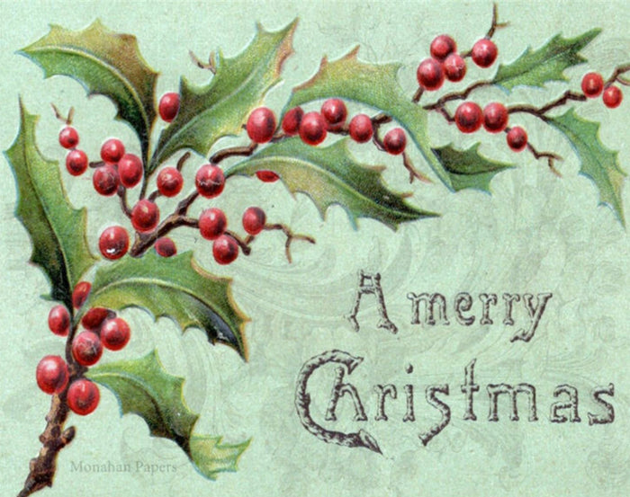 A Merry Christmas Holly Vine (047) C321