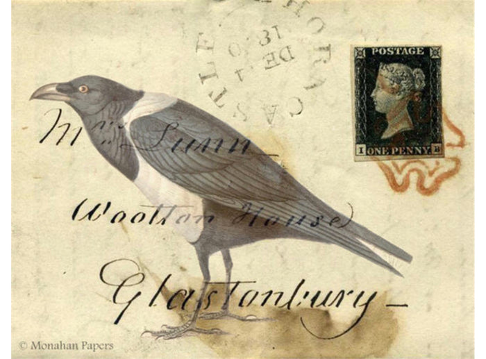 Glastonbury Bird (017) H27