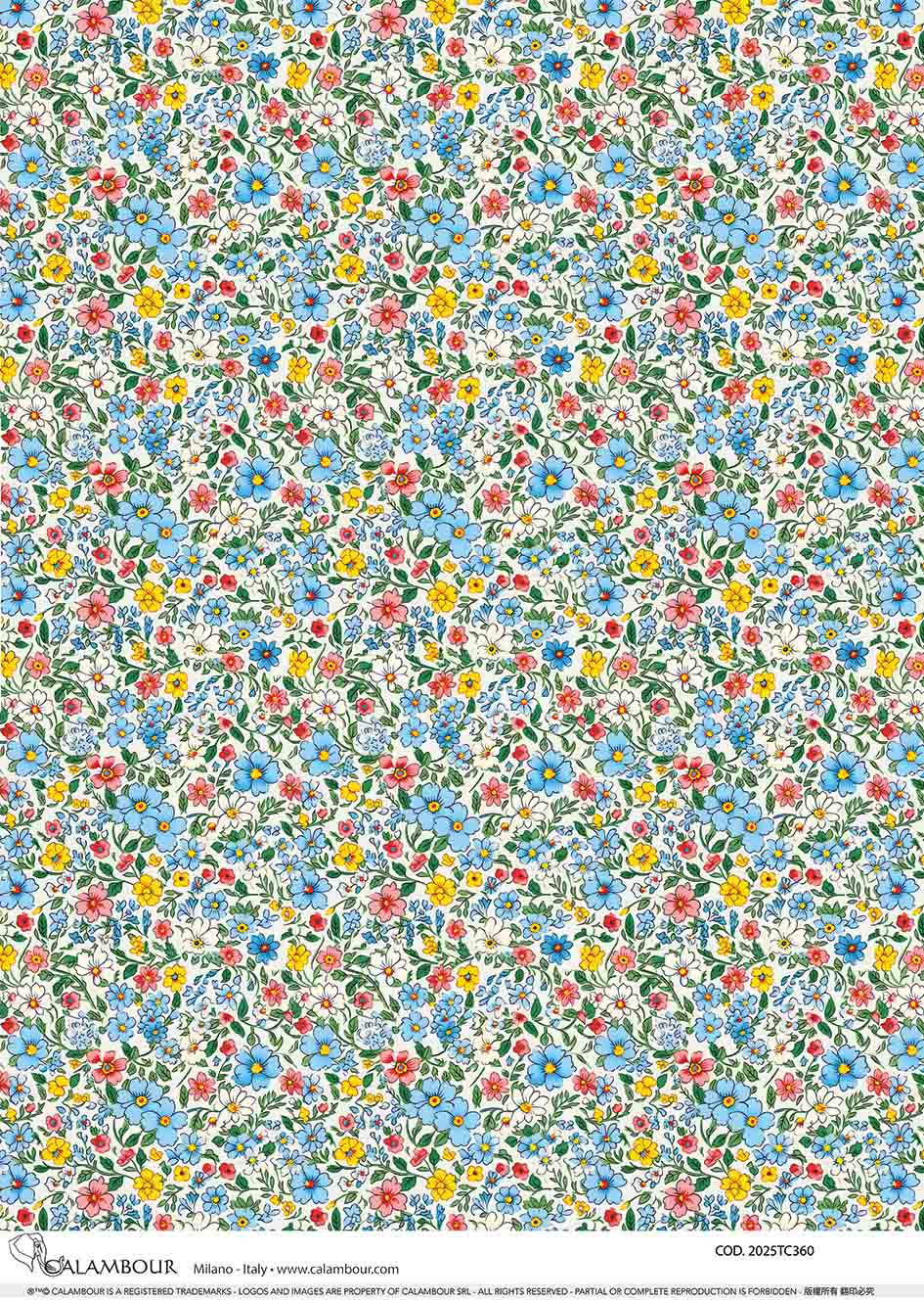 Spring Illustrated Patterned Daisies 2025TC360