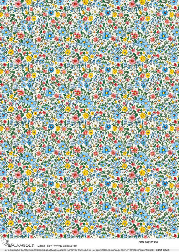 Spring Illustrated Patterned Daisies 2025TC360