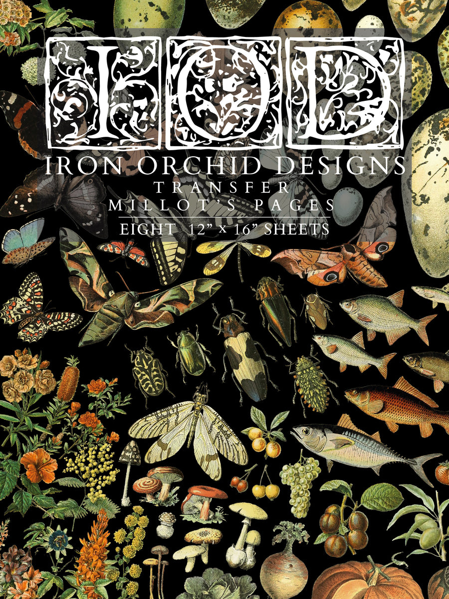 Iron Orchid Designs Millot's Pages | IOD Transfer