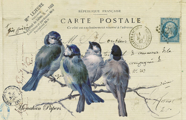 4 Blue Birds (019) R1