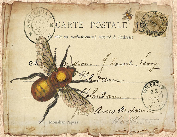 La Carte Bee (016) SPS677