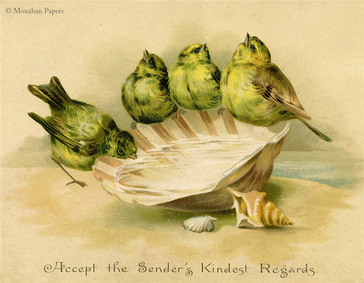 Accept The Sender's Kindest Regards (015) X133